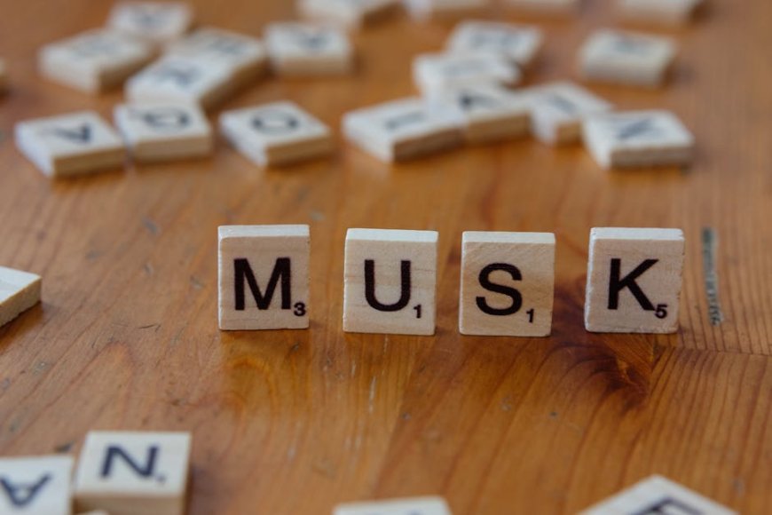 Menguak Sumber Kekayaan Elon Musk Perusahaan Swasta Jadi Penopang Utama