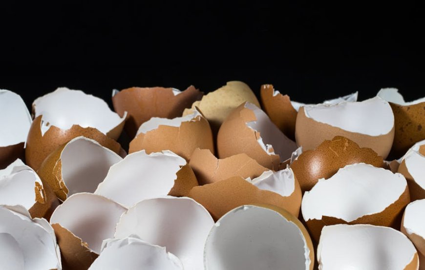 Cara Praktis Membuat Deodoran Alami Zero Waste di Rumah