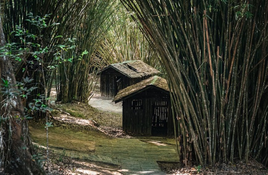 Temukan Destinasi Digital Detox Terbaik di Asia