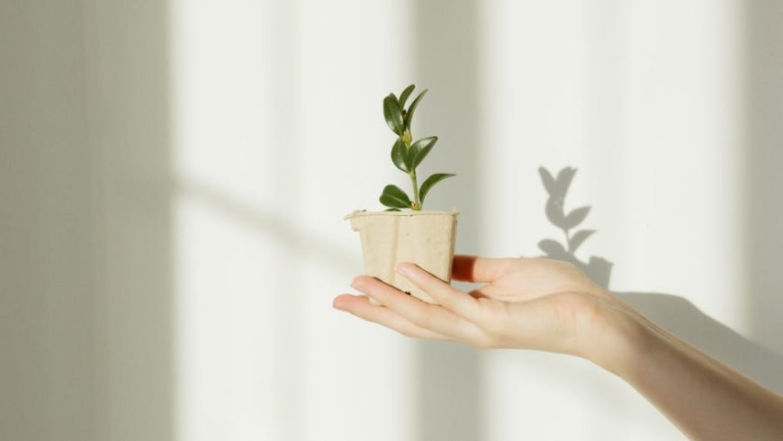 Investasi Bukan Hanya Milik Orang Kaya Cara Memulai dengan Modal Kecil