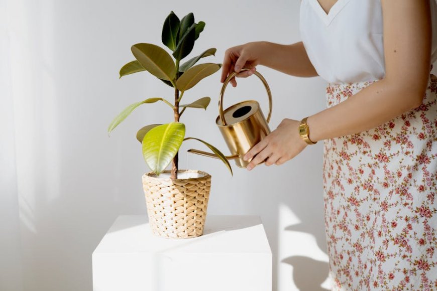 7 Tanaman Hias Minim Perawatan untuk Mempercantik Rumahmu
