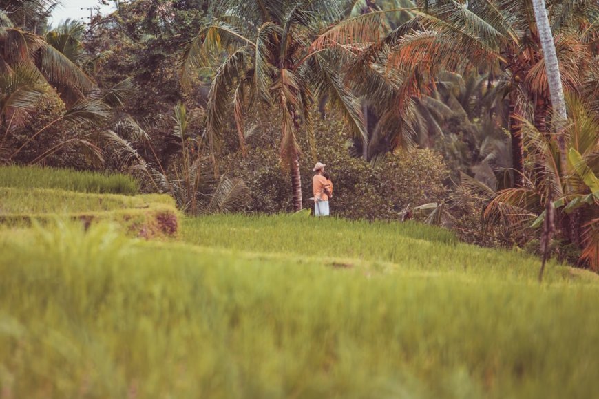 Masa Depan Biodiesel Indonesia: Kenapa Larangan EU Bikin Petani Sawit Merana