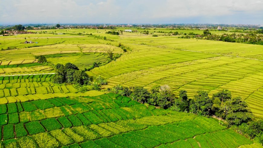 Indonesia Agresif Ganti Haluan Dagang Lawan Pembatasan Biodiesel