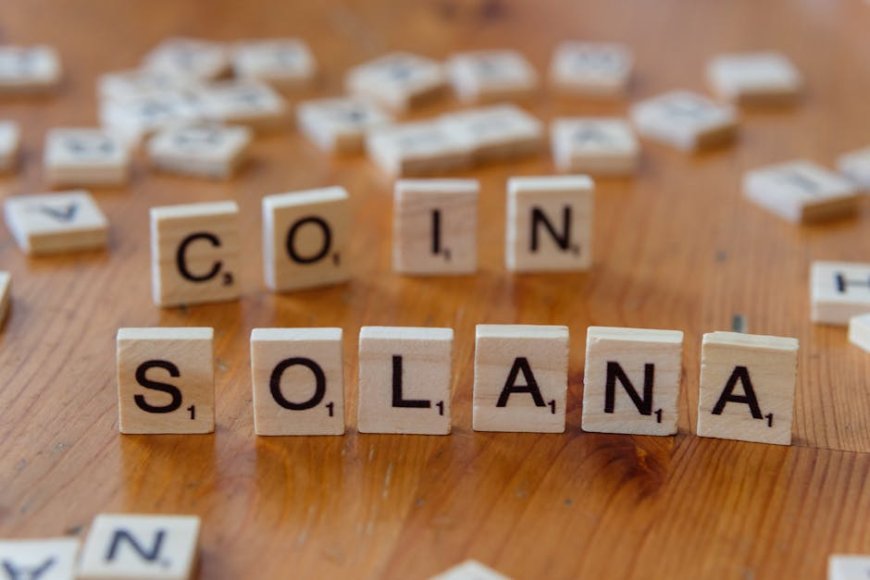 Bitwise Prediksi Solana Jadi Jaringan Stablecoin Favorit Wall Street