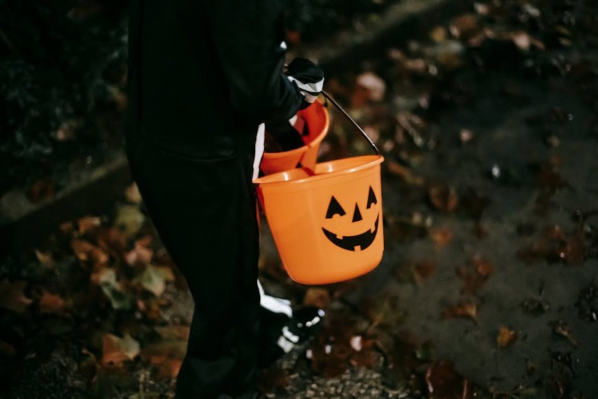 Bongkar Mitos! Kalsium dan Magnesium Kunci Tulang Kuat Sehat Optimal