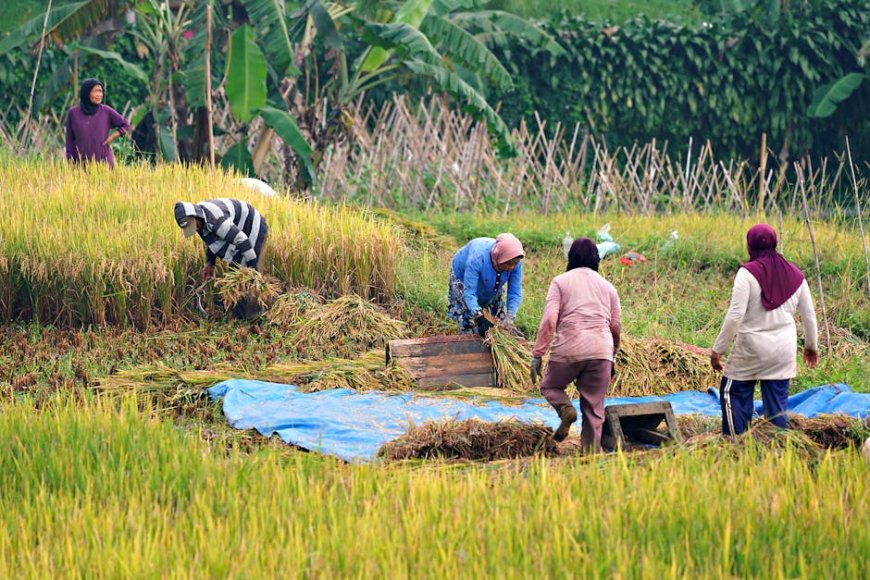 Subsidi LPG 3 Kg Makin Ketat Bagaimana Ini Mempengaruhi Keuangan Anda
