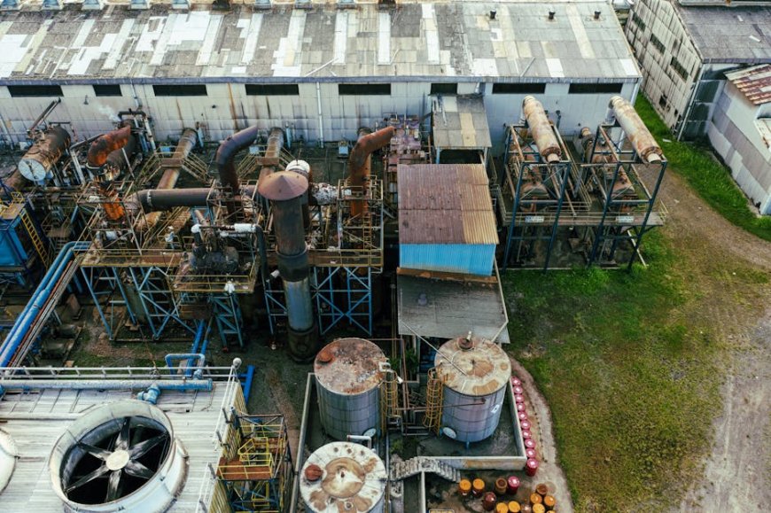 Potensi Rp 2.400 T: Hilirisasi Kelapa, Peluang Investasi Semua Kalangan