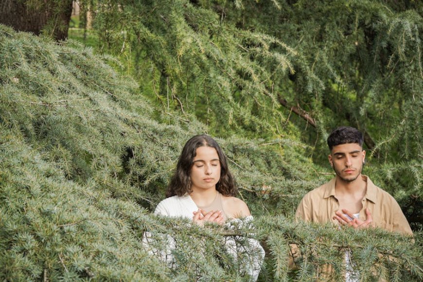 Forest Bathing Solusi Alami Redakan Stres Tingkatkan Imunitas Tidur Nyenyak