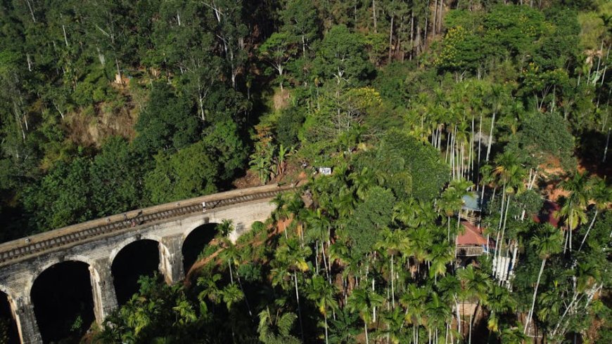 Menginap di Glamping Zero Waste Asia Hidden Gems Alam yang Ramah