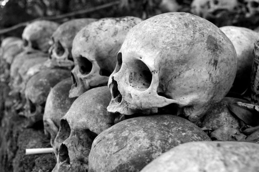 Menyingkap Evolusi Aksara Prasasti Kutai dan Tarumanegara