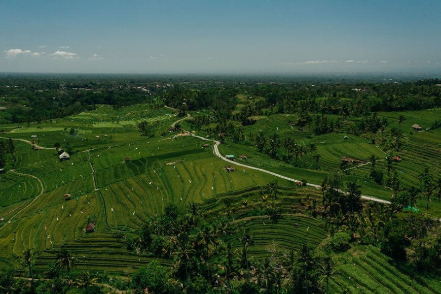 Investasi Emas Berkelanjutan: Pahami Peluang dan Risikonya Sekarang