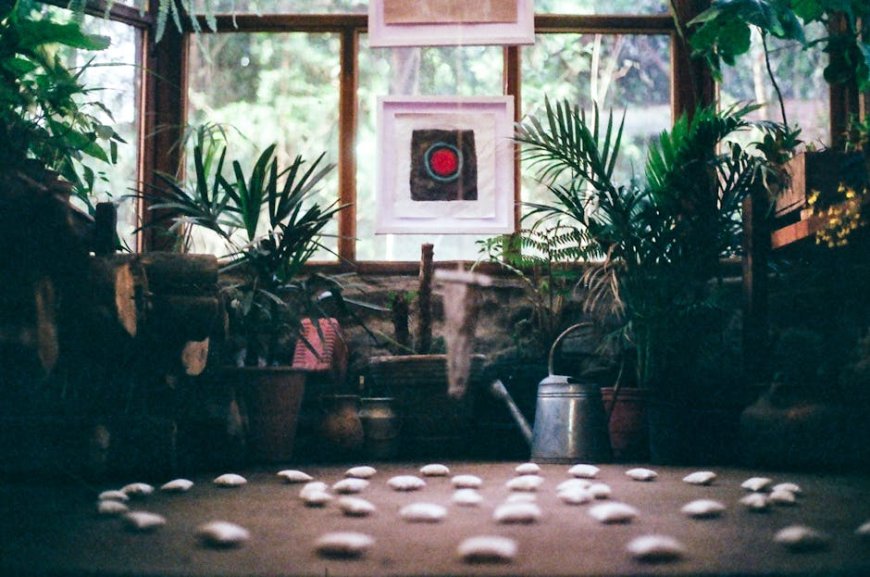 Bikin Rumah Adem! Tips Desain Biophilic untuk Ketenangan Hunian Urban