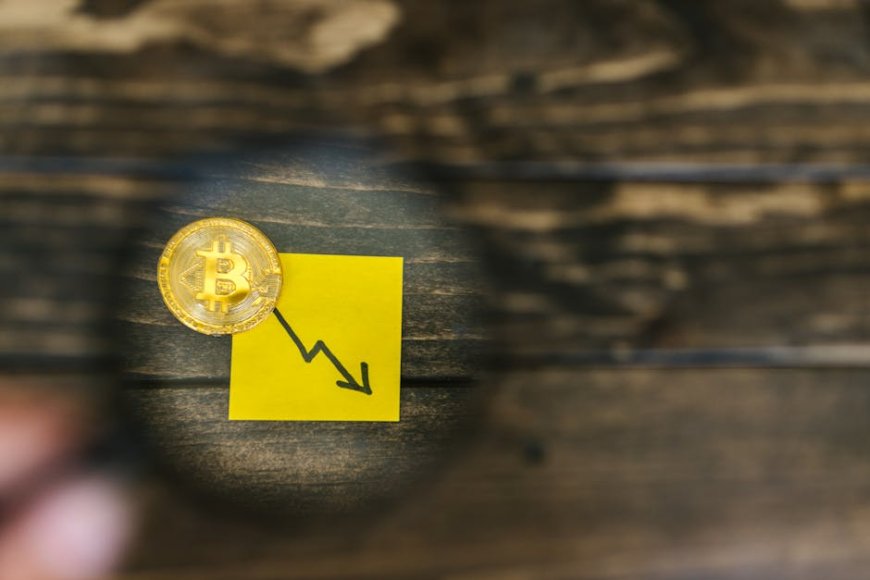 Strategi Cerdas Miliarder Kripto Mengelola Kekayaan Digital Mereka