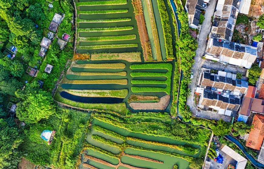 Mitos Investasi Tanah: Benarkah Semua Lahan Selalu Menguntungkan?