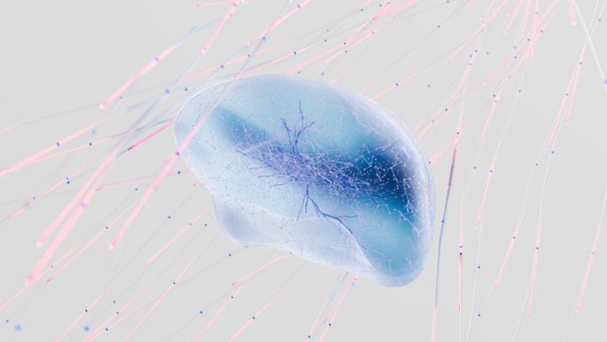 AI Kena 'Brain Rot'? Pelajaran untuk Kebiasaan Digital Kamu!