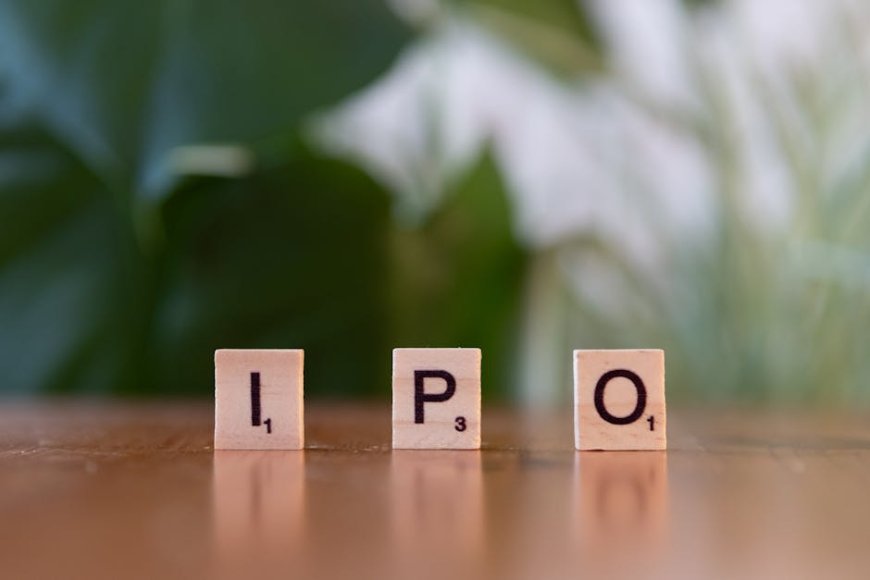 Perusahaan Go Public Makin Tua: Apa Artinya Bagi Investor Pemula?