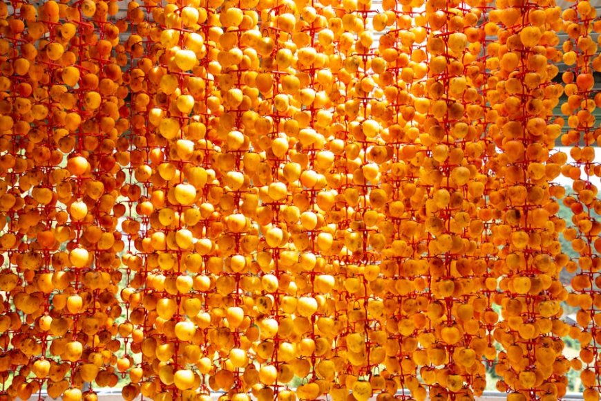 Biar Gak Kekurangan Vitamin D, Coba 11 Makanan Ini, Suplemen Perlu Gak Sih?