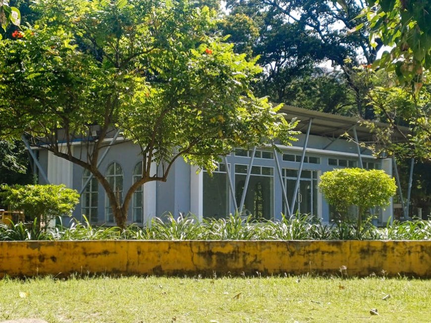 Backpacking Hemat di Skandinavia Temukan Hidden Gems Seru