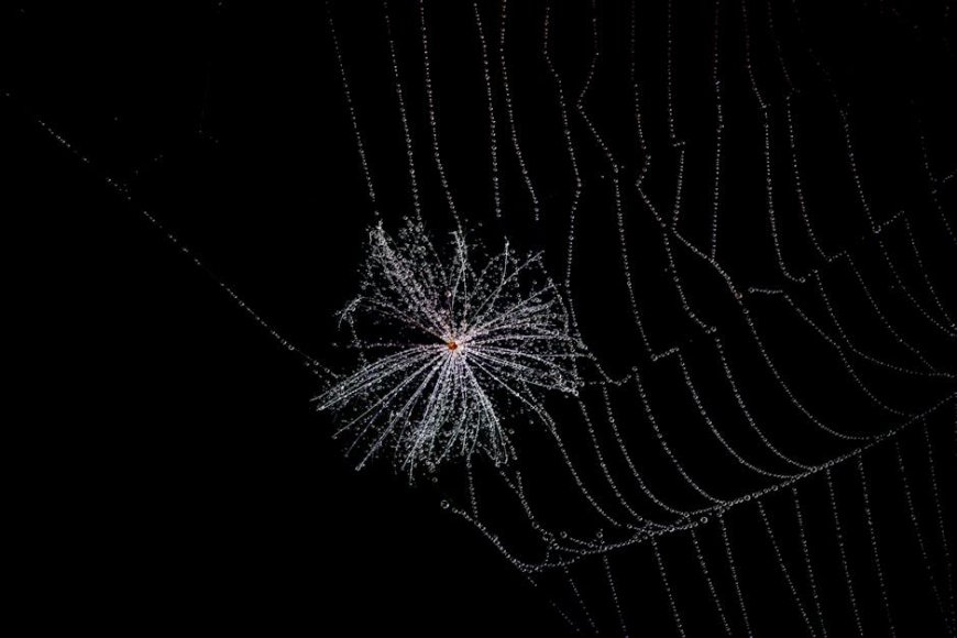 Malam Mencekam Berburu Rumah Bersama Werewolf dan Vampir