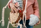 Sains Rasa Syukur Ungkap Manfaat Nyata Bagi Otak dan Kesehatan Mental