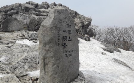 NVIDIA dan Korea Bersatu Kembangkan AI, Jensen Huang di KTT APEC