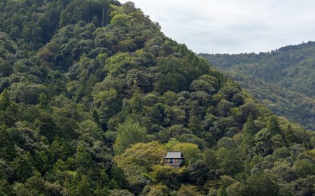 Panduan Hemat Jelajahi Jepang dengan Japan Rail Pass