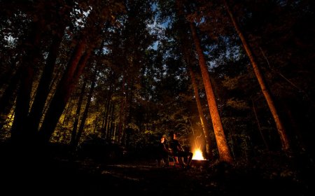 Cerita Menyeramkan Api Unggun Yang Mengubah Hidupku Selamanya