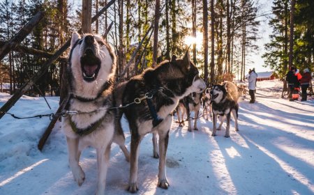 Mitos Cold Shower: Benarkah Tingkatkan Imunitas, Mental, dan Tidur Malam?