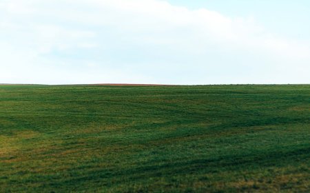 Rahasia Fotografi Desa Eropa dengan Smartphone untuk Instagram