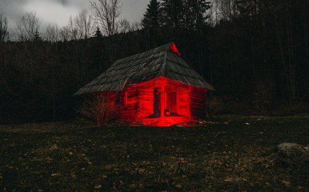 Misteri Kabin Alaska yang Tiba-tiba Bermunculan di Tengah Malam