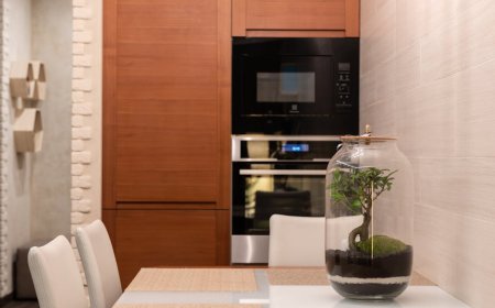 Tips Praktis Merawat Bonsai dan Terrarium Cantik untuk Interior Rumahmu