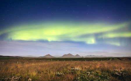 Panduan Seru Berburu Aurora Borealis di Destinasi Tersembunyi Dunia