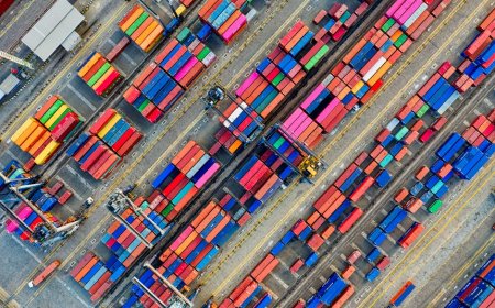 Jelajahi Urban Farming Asia Hidden Gems Seru dan Edukatif