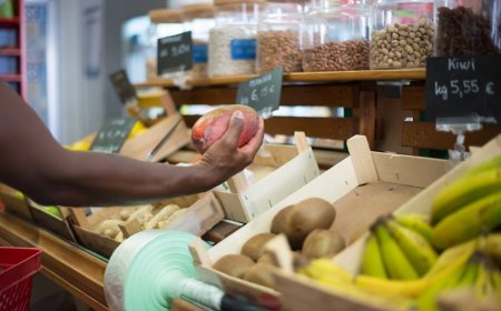 Benih Misterius dari Pasar Tani Mengubah Kota Menjadi Gila
