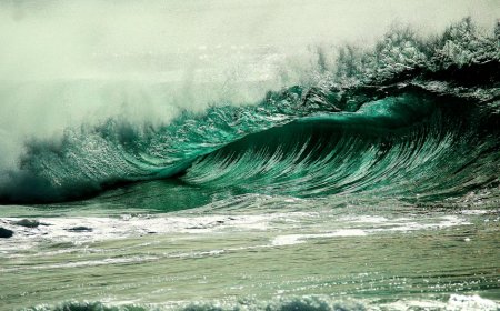 Cegah Cedera Hamstring! Optimalisasi Latihan dengan SMR dan Stretching Dinamis