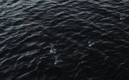 Kecanggihan Navigasi Viking Mengubah Perdagangan Lintas Samudra Dunia