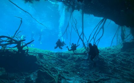Panduan Jelajah Kapal Selam di Indonesia Hidden Gems Bawah Laut