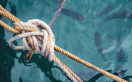 Kabel Bawah Laut Kunci AI dan Internet Dunia, Investasi Melonjak Pesat!