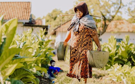 Pranatamangsa: Harmoni Kalender Jawa, Bintang, Musim, dan Pertanian Kuno