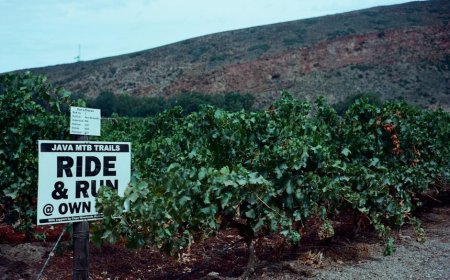 5 Jalur Sepeda Gunung Ekstrem di Jawa Barat Wajib Coba
