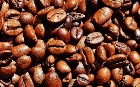 Rahasia Roasting dan Brewing Kopi Single Origin ala Barista