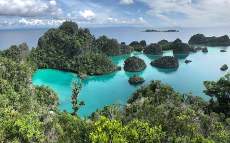 Hidden Gems Snorkeling dan Diving Eco-Friendly di Raja Ampat
