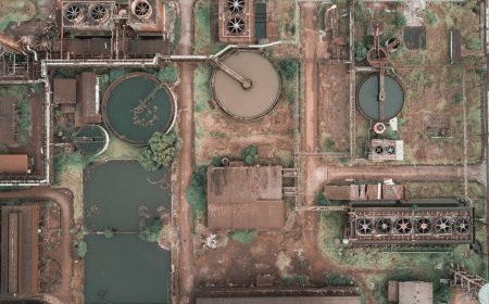 Peluang Investasi Rp3,3 Triliun: Pabrik Sampah Batang Dorong Ekonomi Hijau