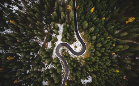 Atasi Wallpaper iPhone Berubah Sendiri! Fokus Mode & Foto Acak Penyebabnya?