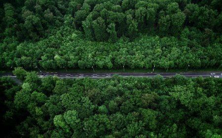 Petualangan Road Trip Trans-Sulawesi Utara: Temukan Hidden Gems Minahasa!