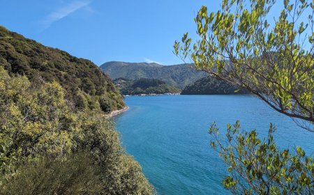 Foraging Tour Seru Jelajahi Hutan dan Pantai Indonesia