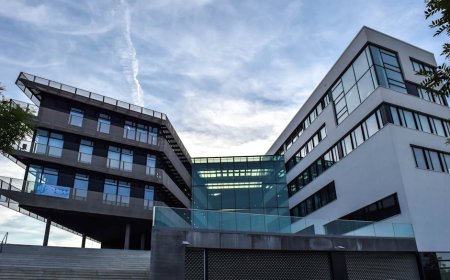 Cuan Rp 2,5 M dari Karbon Pertamina: Peluang Investasi Hijau untuk Anda?