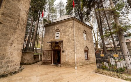 Jejak Rempah Dunia Islam Menghubungkan Asia Eropa Lewat Jalur Perdagangan