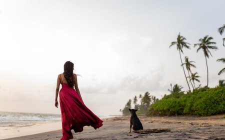 Panduan Liburan Aman Bersama Hewan Peliharaan Eksotis