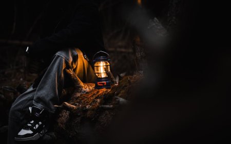 Bertemu Makhluk Fae di Tengah Buruan Para Iblis Malam